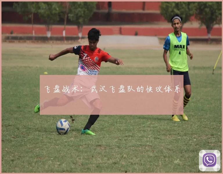 飞盘战术：武汉飞盘队的快攻体系