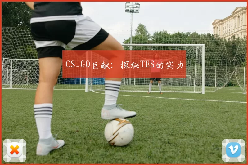 CS_GO巨献：探秘TES的实力