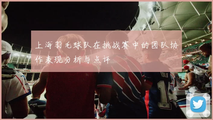 上海羽毛球队在挑战赛中的团队协作表现分析与点评