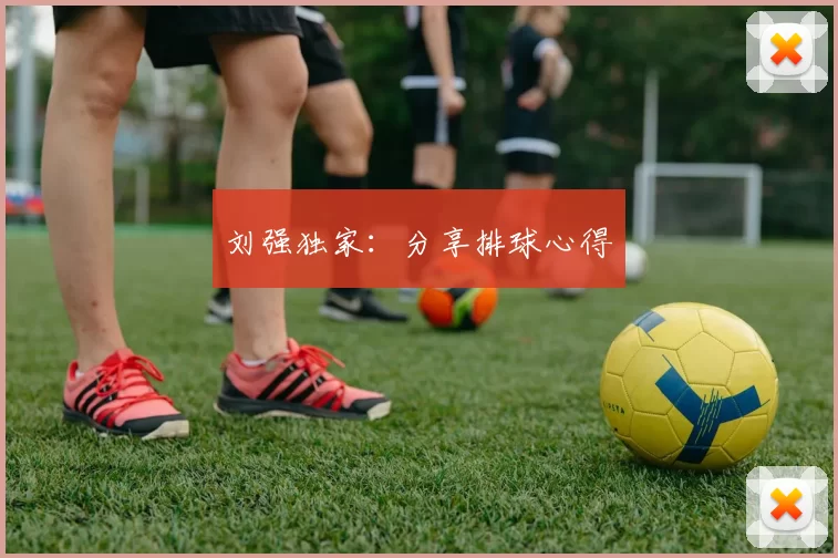 刘强独家：分享排球心得