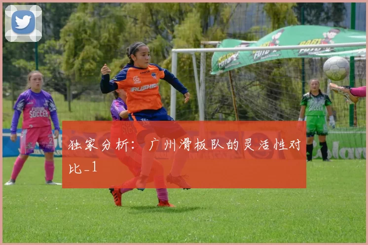 独家分析：广州滑板队的灵活性对比_1