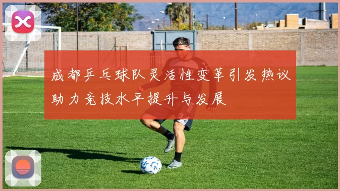 成都乒乓球队灵活性变革引发热议助力竞技水平提升与发展