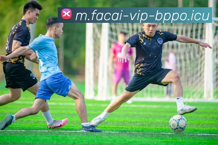 华体会体育注册平台生态图