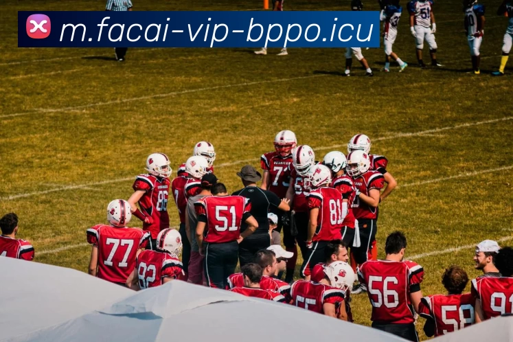 华体会体育注册APP 封面图